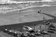 Nome File=Fine_stagioneBN.jpg
Dimensione File=318KB
Dimensioni=800x533
Data aggiunta=Ott 07, 2007 Fine_stagioneBN.jpg
