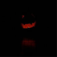 Zucca1.gif Zucca1.gif