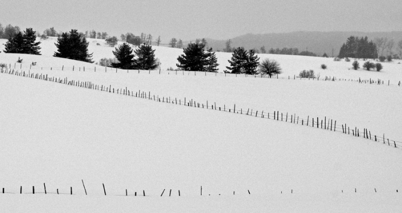 Clicca per l'immagine full size