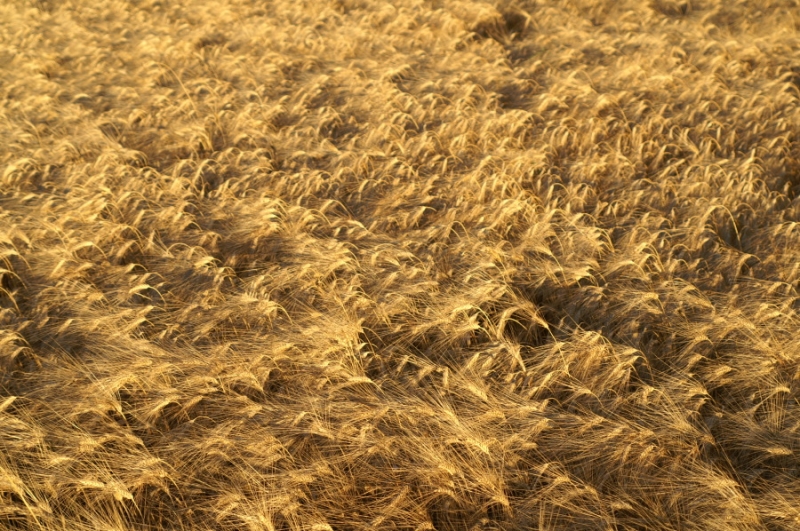 Clicca per l'immagine full size