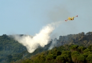 Canadair_in_azione_800PICT1685.jpg