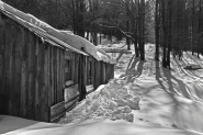 bnDSC00827.jpg