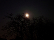 Nome File=luna.jpg
Dimensione File=276KB
Dimensioni=800x600
Data aggiunta=Mag 24, 2007 luna.jpg