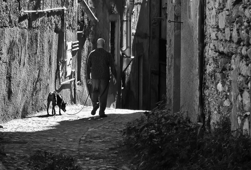 Clicca per l'immagine full size