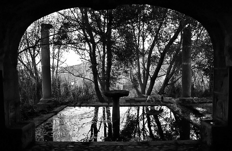 Clicca per l'immagine full size