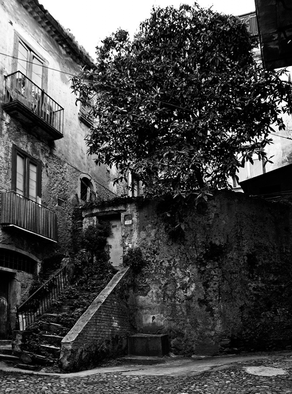 Clicca per l'immagine full size