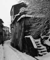 Nome File=Fiore_a_Portachiana.jpg
Dimensione File=252KB
Dimensioni=740x888
Data aggiunta=Feb 28, 2009 Fiore_a_Portachiana.jpg