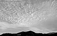 IMG_2167b.jpg IMG_2167b.jpg
