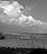 Nome File=MeZzaFotO.jpg
Dimensione File=353KB
Dimensioni=742x850
Data aggiunta=Mar 28, 2008 MeZzaFotO.jpg