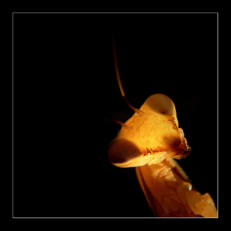 Clicca per l'immagine full size