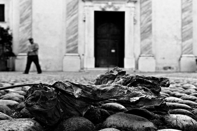 Clicca per l'immagine full size