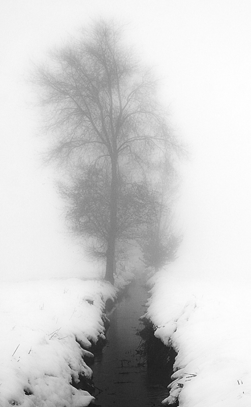 Clicca per l'immagine full size