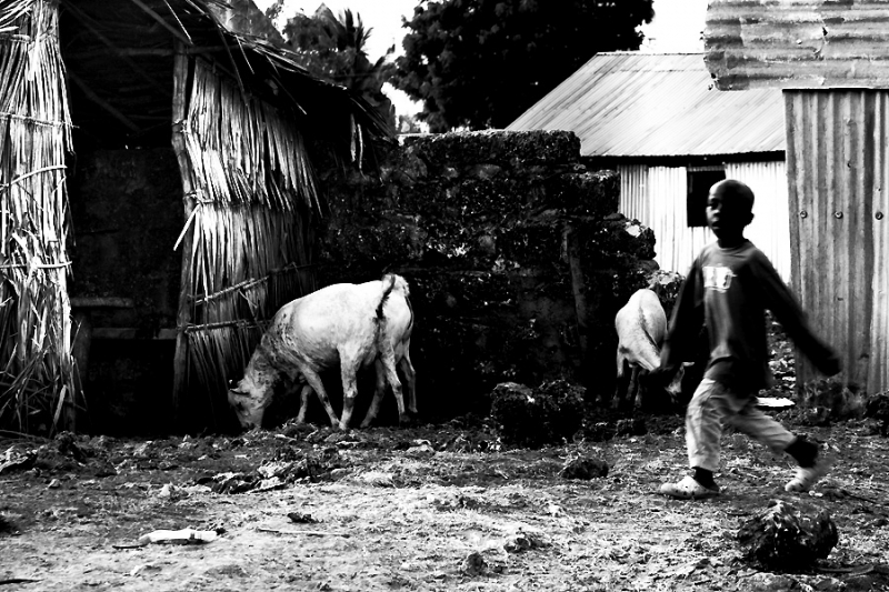Clicca per l'immagine full size