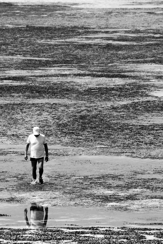 Clicca per l'immagine full size