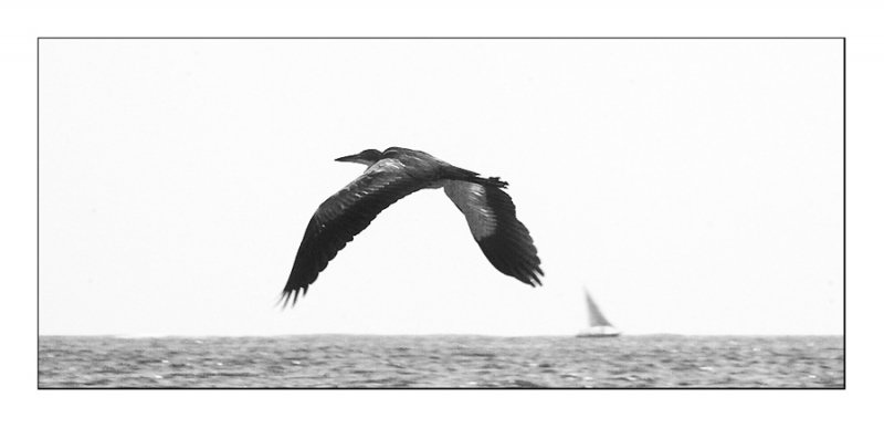 Clicca per l'immagine full size