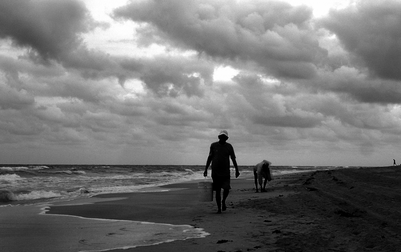 Clicca per l'immagine full size