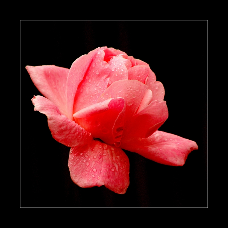 Clicca per l'immagine full size