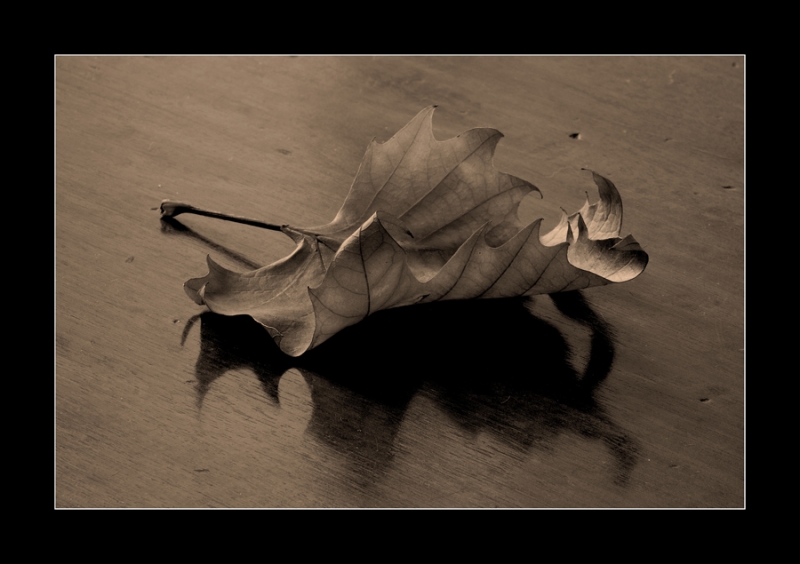 Clicca per l'immagine full size
