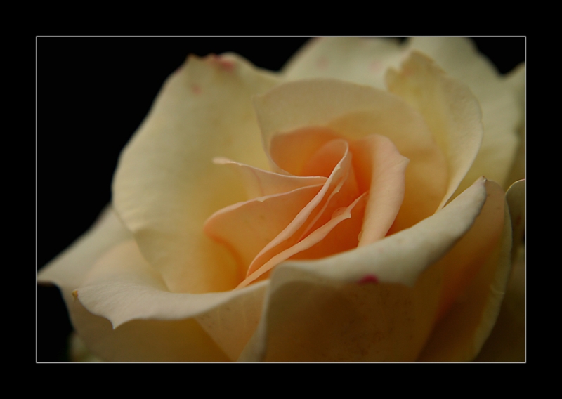 Clicca per l'immagine full size