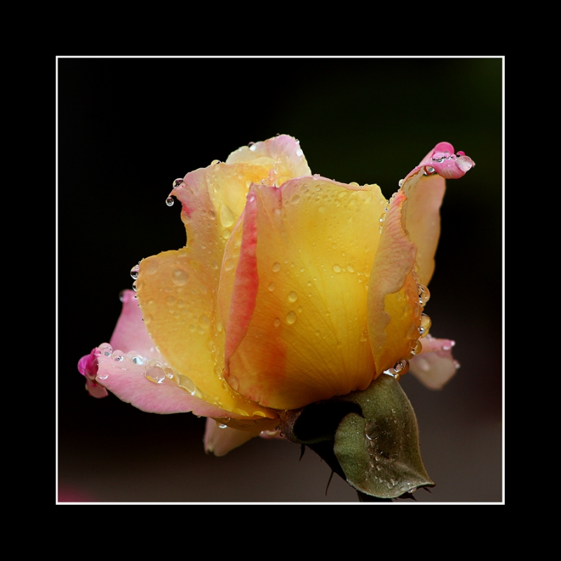 Clicca per l'immagine full size