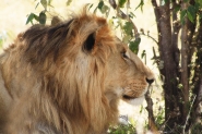 012_copia1.jpg