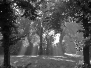 22222_edited-1.jpg