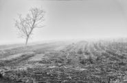 Nome File=a~0.jpg
Dimensione File=386KB
Dimensioni=1024x676
Data aggiunta=Dic 05, 2016 a~0.jpg