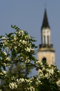 aprile_1744_copia1.jpg aprile_1744_copia1.jpg