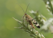 Nome File=e.jpg
Dimensione File=452KB
Dimensioni=1024x732
Data aggiunta=Ago 10, 2017 e.jpg