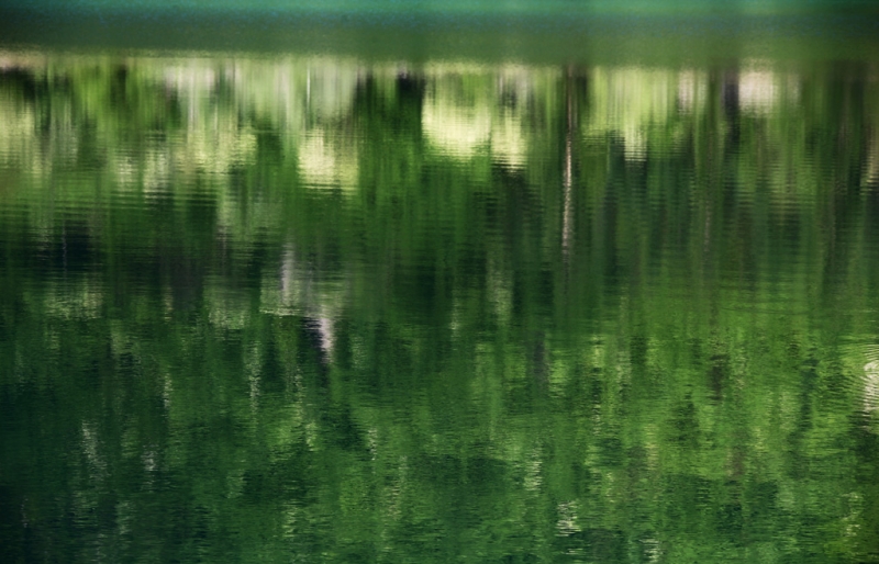 Clicca per l'immagine full size
