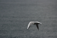 IMG_6178.JPG