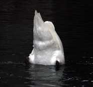 Immagine-026.jpg