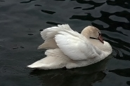 Immagine-126.jpg