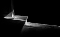 Immagine_3141238.jpg