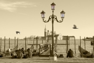 venezia.JPG