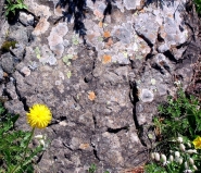 I_colori_della_roccia_[800x600]_[800x600].jpg