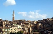 Siena_-_Panorama[800x600].jpg