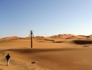merzouga_059_[800x600].jpg
