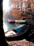 parcodellostella_074a_[800x600].JPG