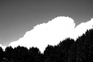 Nome File=Grigio,_bianco_e_nero.jpg
Dimensione File=73KB
Dimensioni=800x532
Data aggiunta=Set 09, 2007 Grigio,_bianco_e_nero.jpg