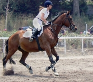 Nome File=Cavallo.jpg
Dimensione File=90KB
Dimensioni=729x643
Data aggiunta=Set 20, 2007 Cavallo.jpg