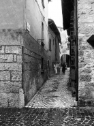 Nome File=Copia_Mix.jpg
Dimensione File=252KB
Dimensioni=600x800
Data aggiunta=Mar 27, 2008 Copia_Mix.jpg