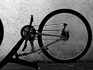 IMG_0525.jpg IMG_0525.jpg