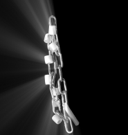Web501Bn.jpg Web501Bn.jpg
