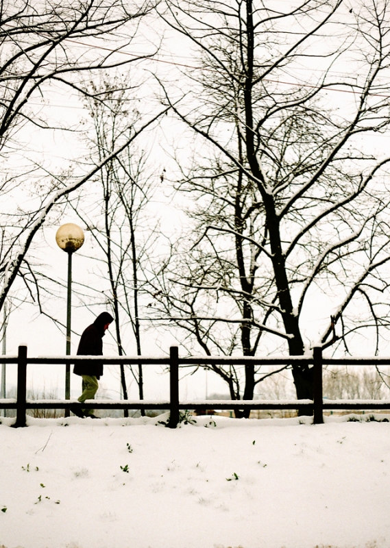 Clicca per l'immagine full size