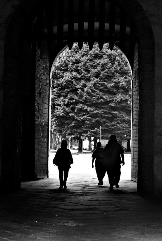 Clicca per l'immagine full size