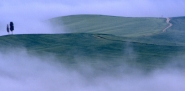 Nome File=Cipressi-e-nebbia.jpg
Dimensione File=343KB
Dimensioni=800x397
Data aggiunta=Ott 29, 2007 Cipressi-e-nebbia.jpg