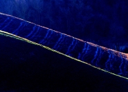 Nome File=La-scala.jpg
Dimensione File=398KB
Dimensioni=867x631
Data aggiunta=Giu 14, 2008 La-scala.jpg