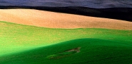 Nome File=Onda-su-onda.jpg
Dimensione File=345KB
Dimensioni=800x395
Data aggiunta=Dic 15, 2007 Onda-su-onda.jpg