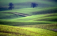 Onde-verdi.jpg Onde-verdi.jpg